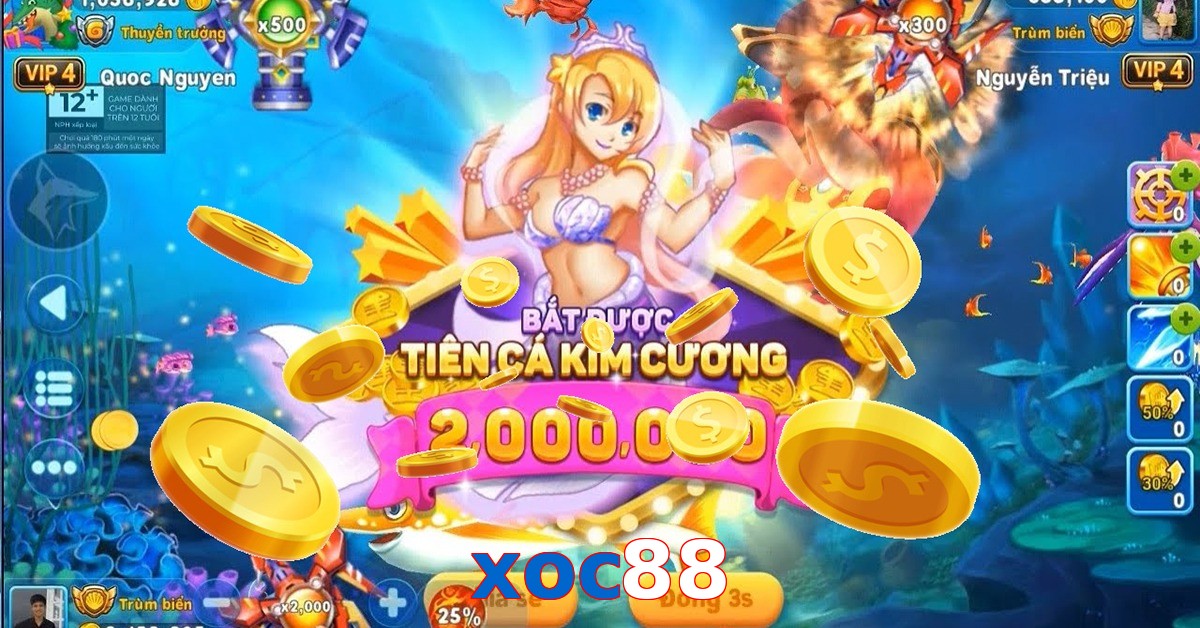 xoc88