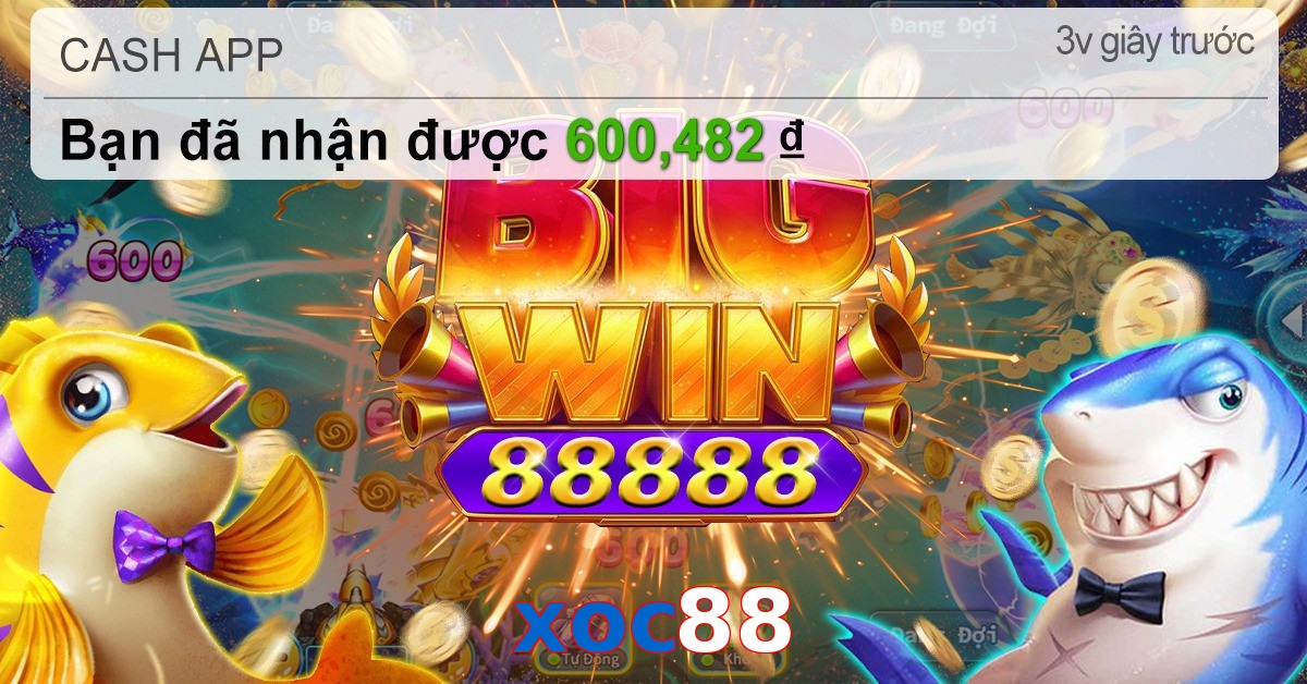 xoc88